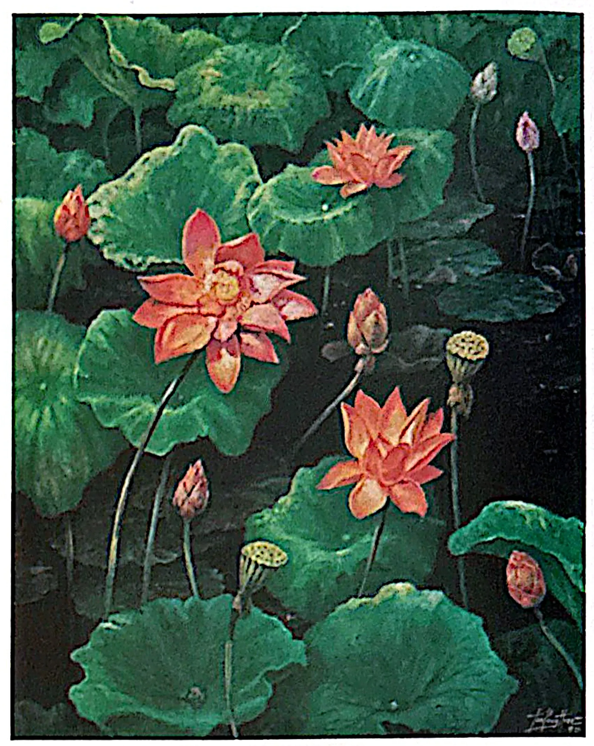 Oil painting titled Lotus by Tan Peng Hooi, 1995.