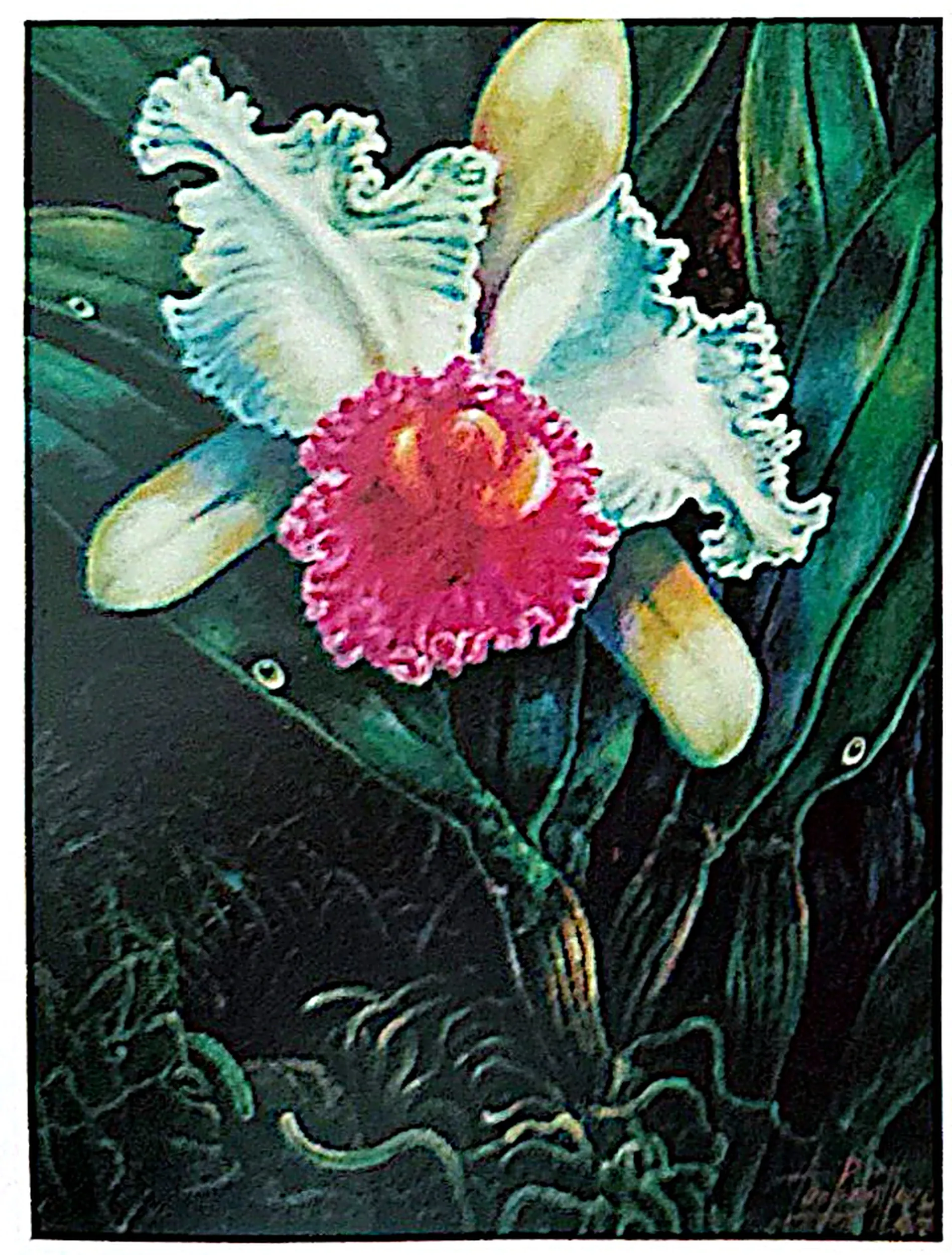 Oil painting titled Orchid by Tan Peng Hooi, 1992.