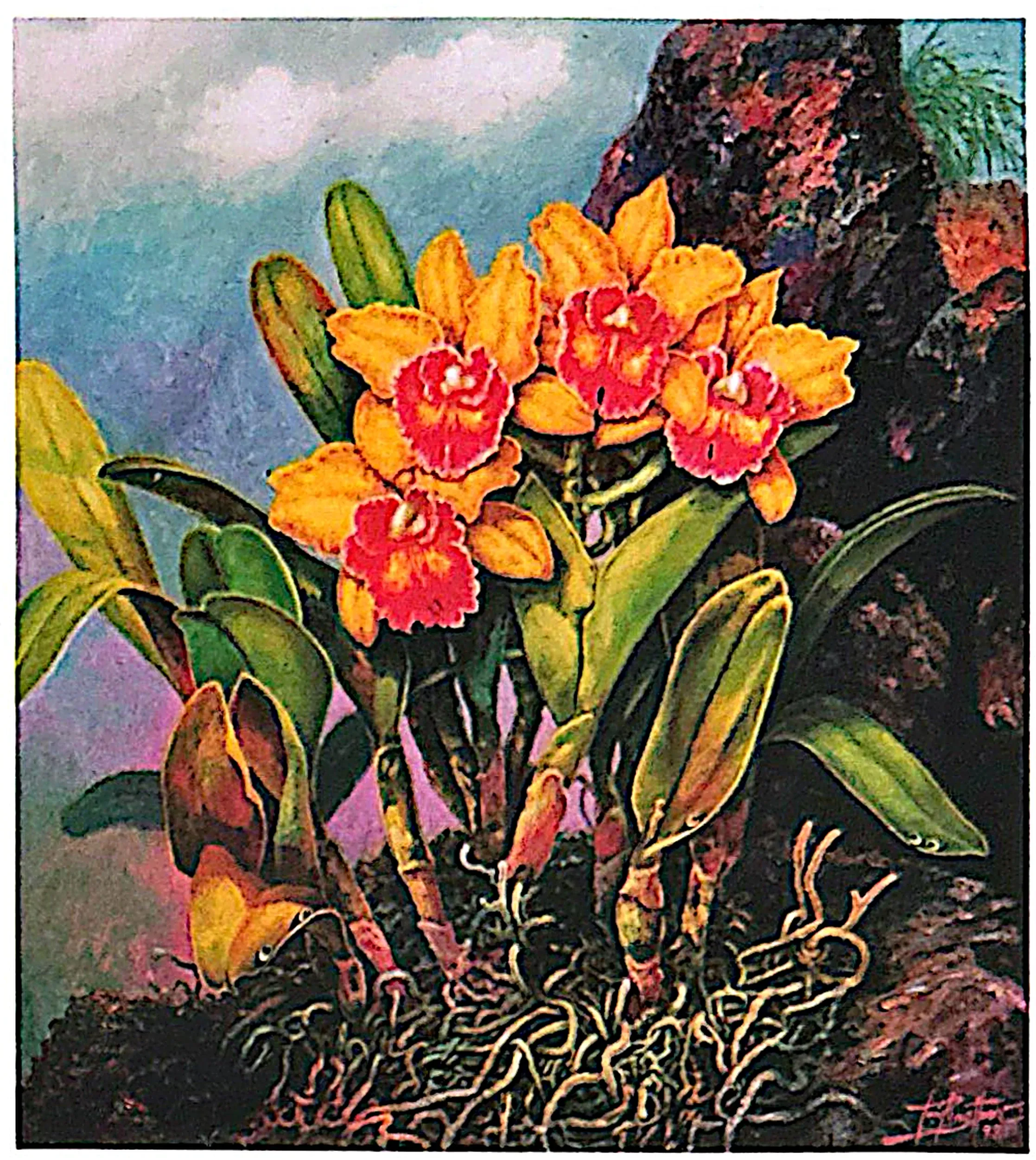 Oil painting titled Orchid by Tan Peng Hooi, 1998.