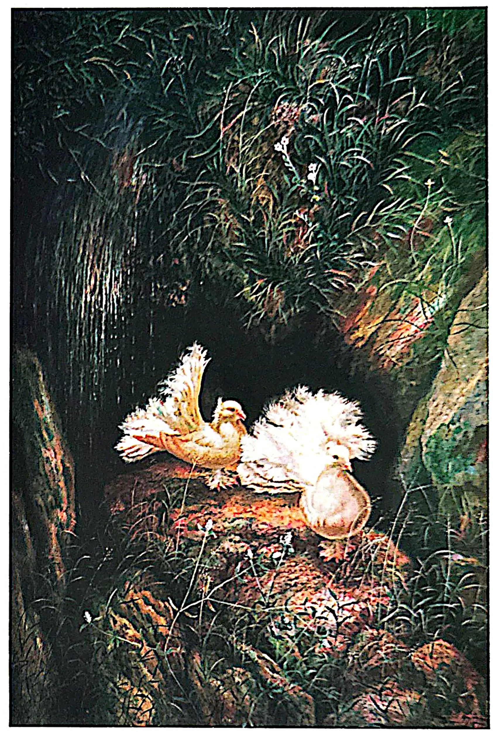 Oil painting titled Peace Doves by Tan Peng Hooi, 2001.