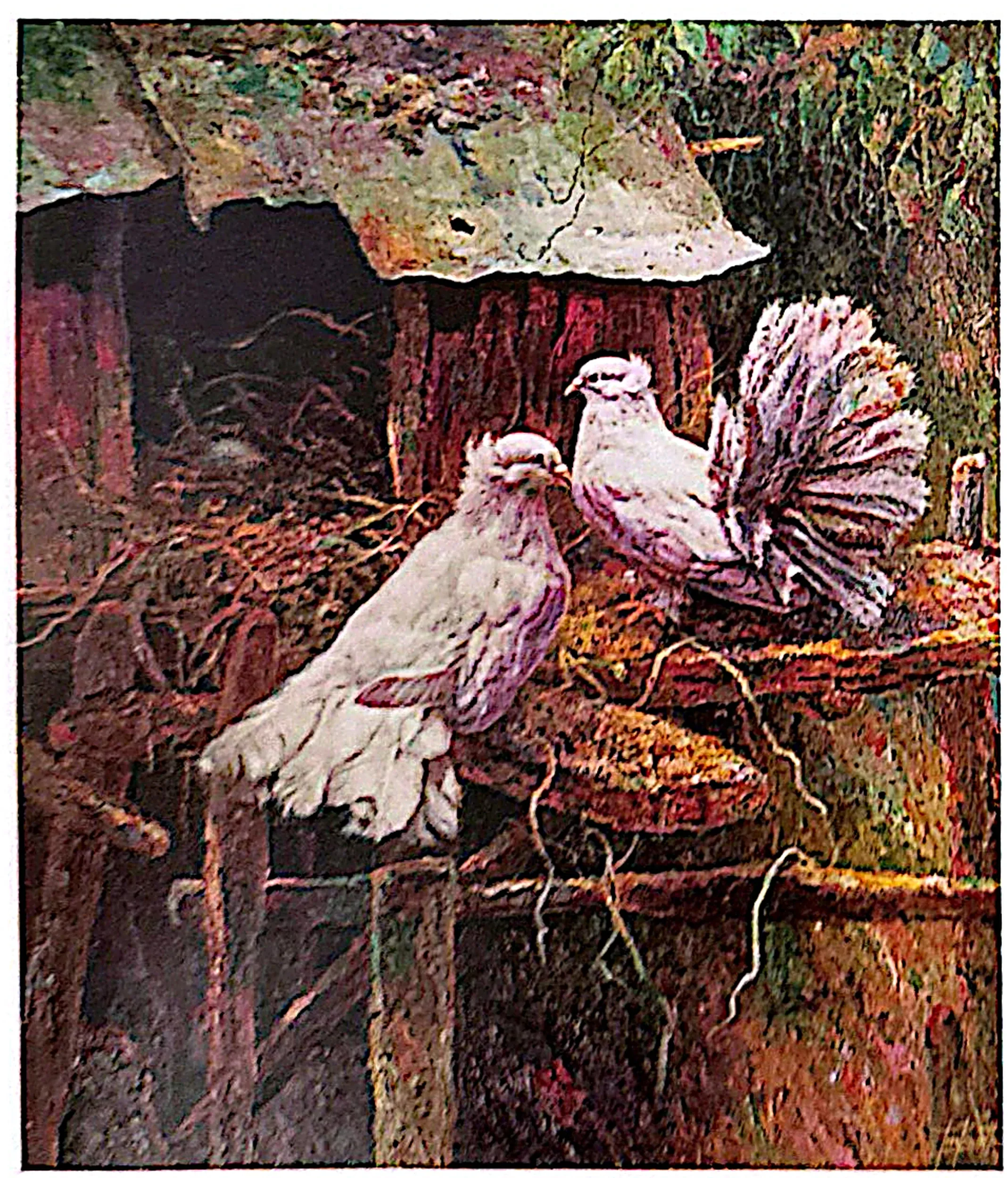 Oil painting titled Peace Doves by Tan Peng Hooi, 1990.