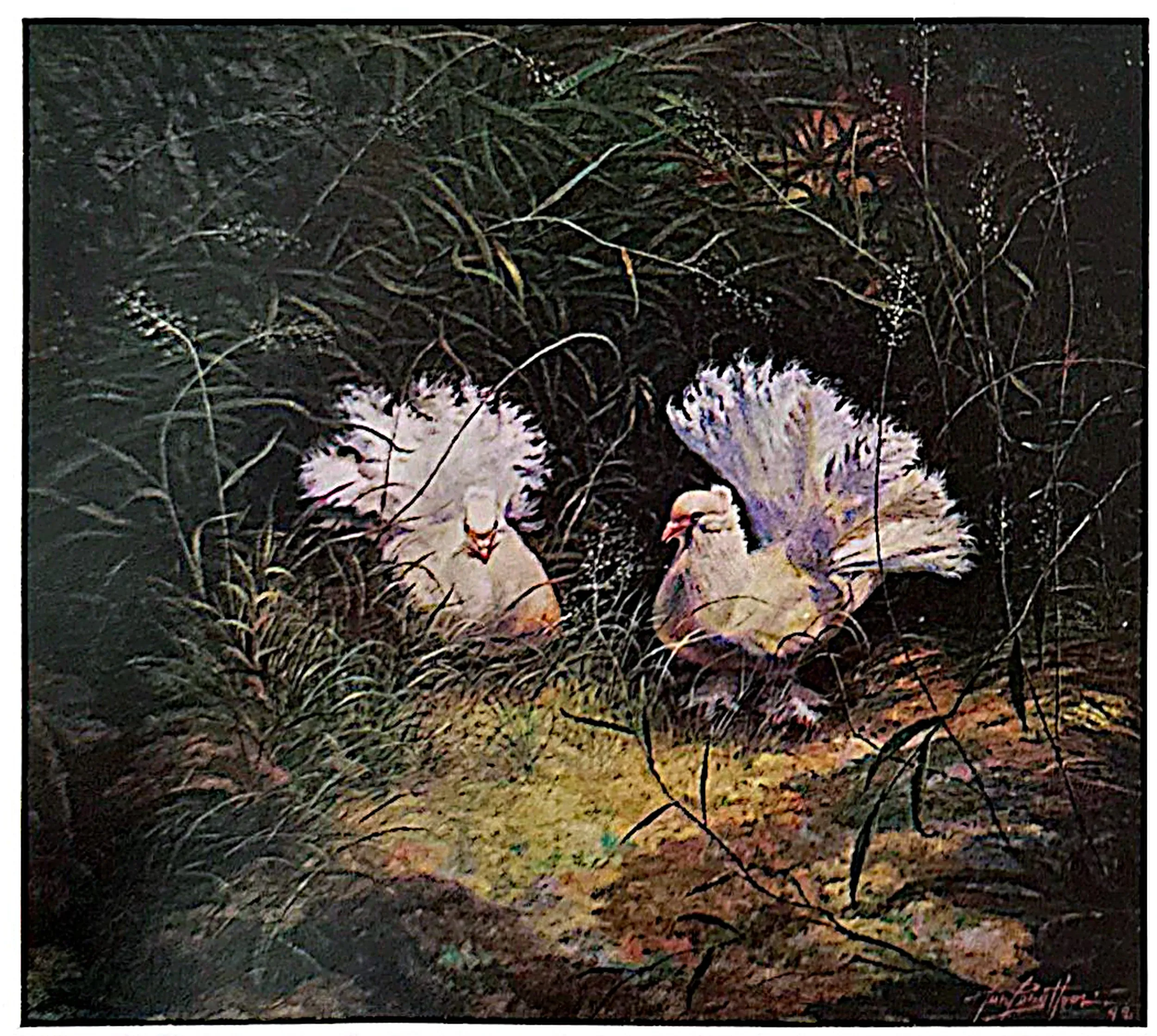 Oil painting titled Peace Doves by Tan Peng Hooi, 1998.