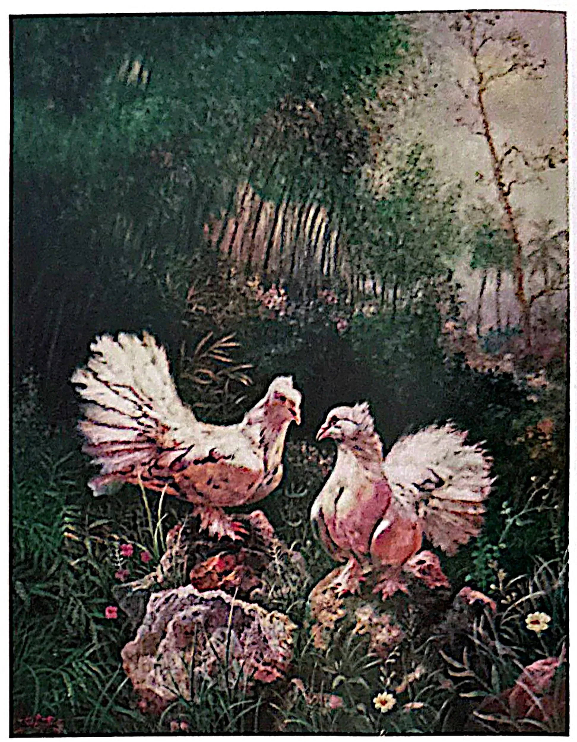 Oil painting titled Peace Doves by Tan Peng Hooi, 1995.
