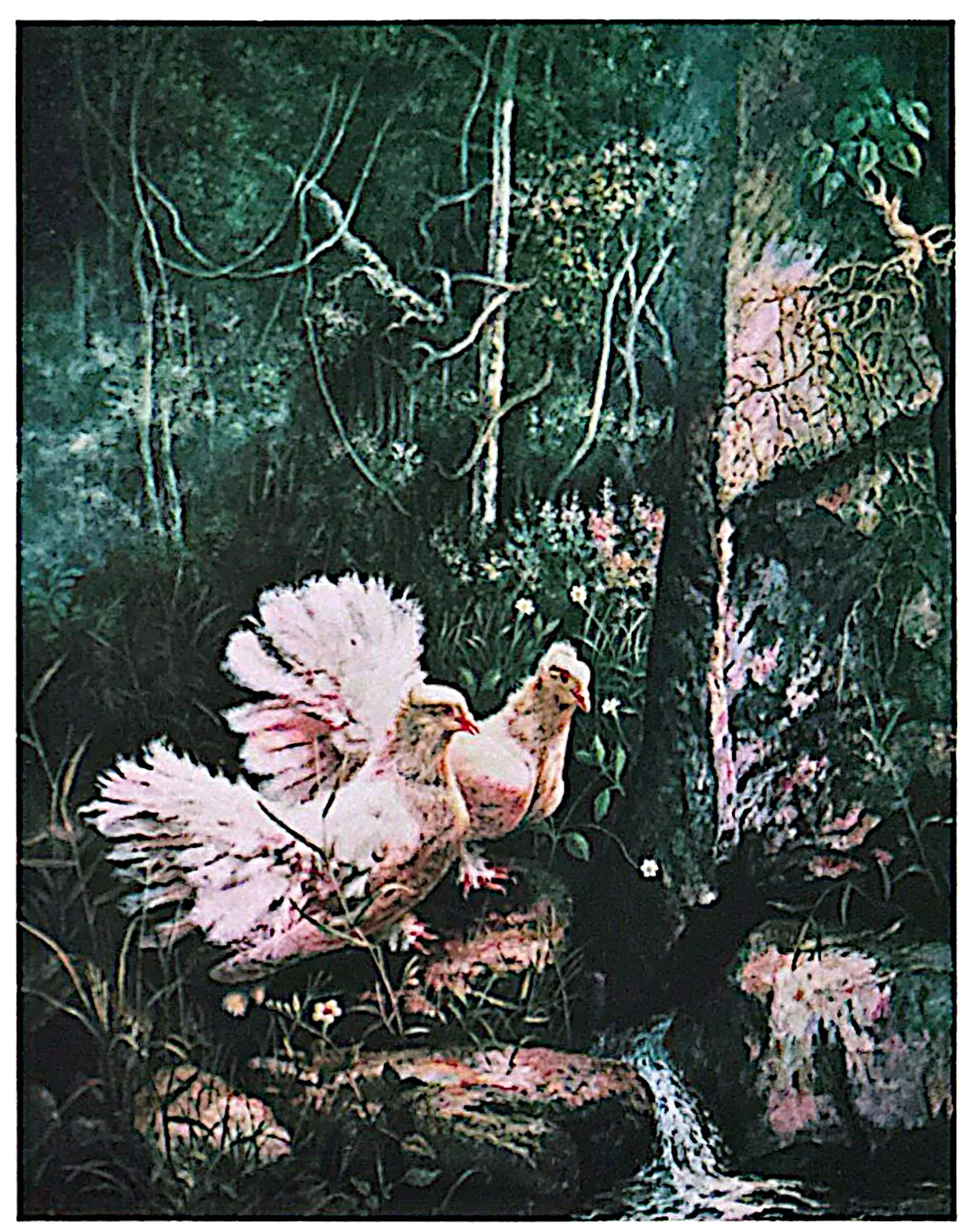 Oil painting titled Peace Doves by Tan Peng Hooi, 1995.