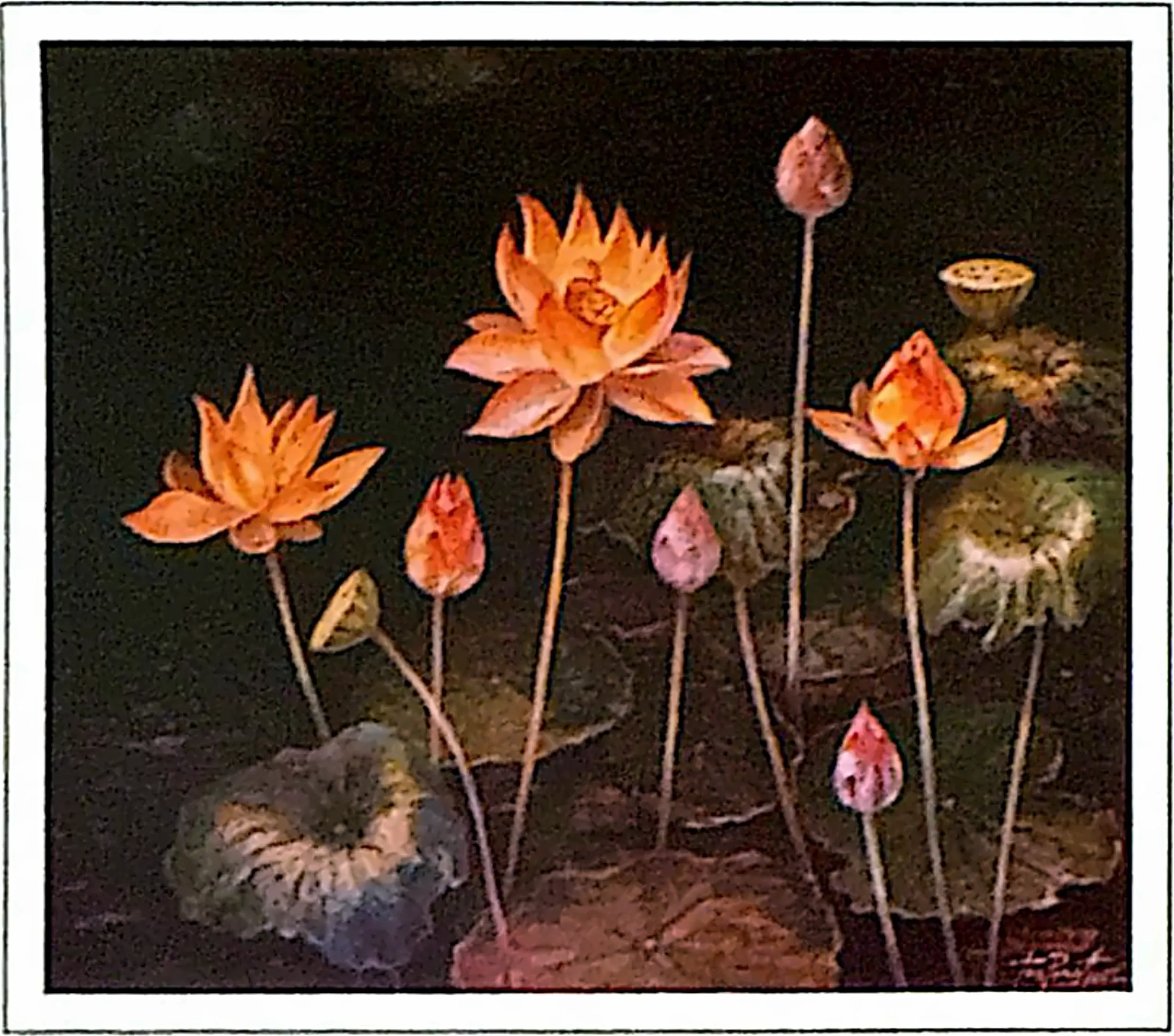 Oil painting titled Lotus by Tan Peng Hooi, 2002.
