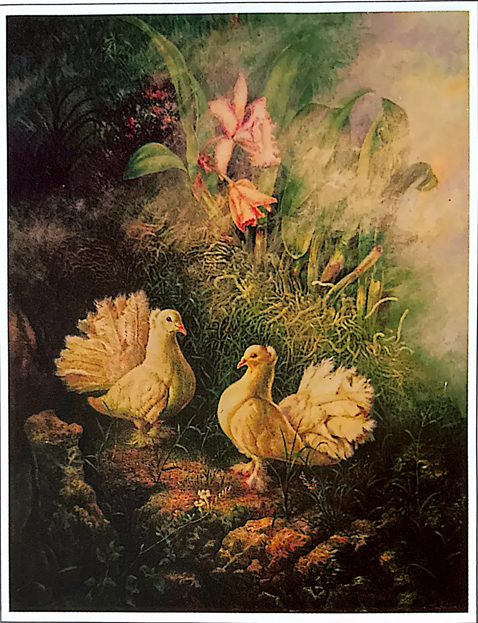 Oil painting titled Peace Doves by Tan Peng Hooi, 1995.