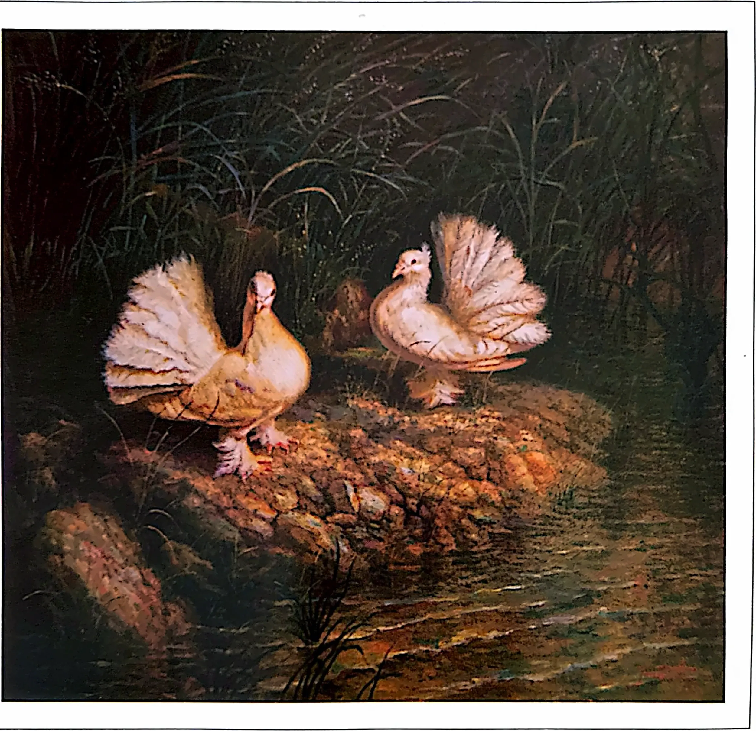 Oil painting titled Peace Doves by Tan Peng Hooi, 2003.