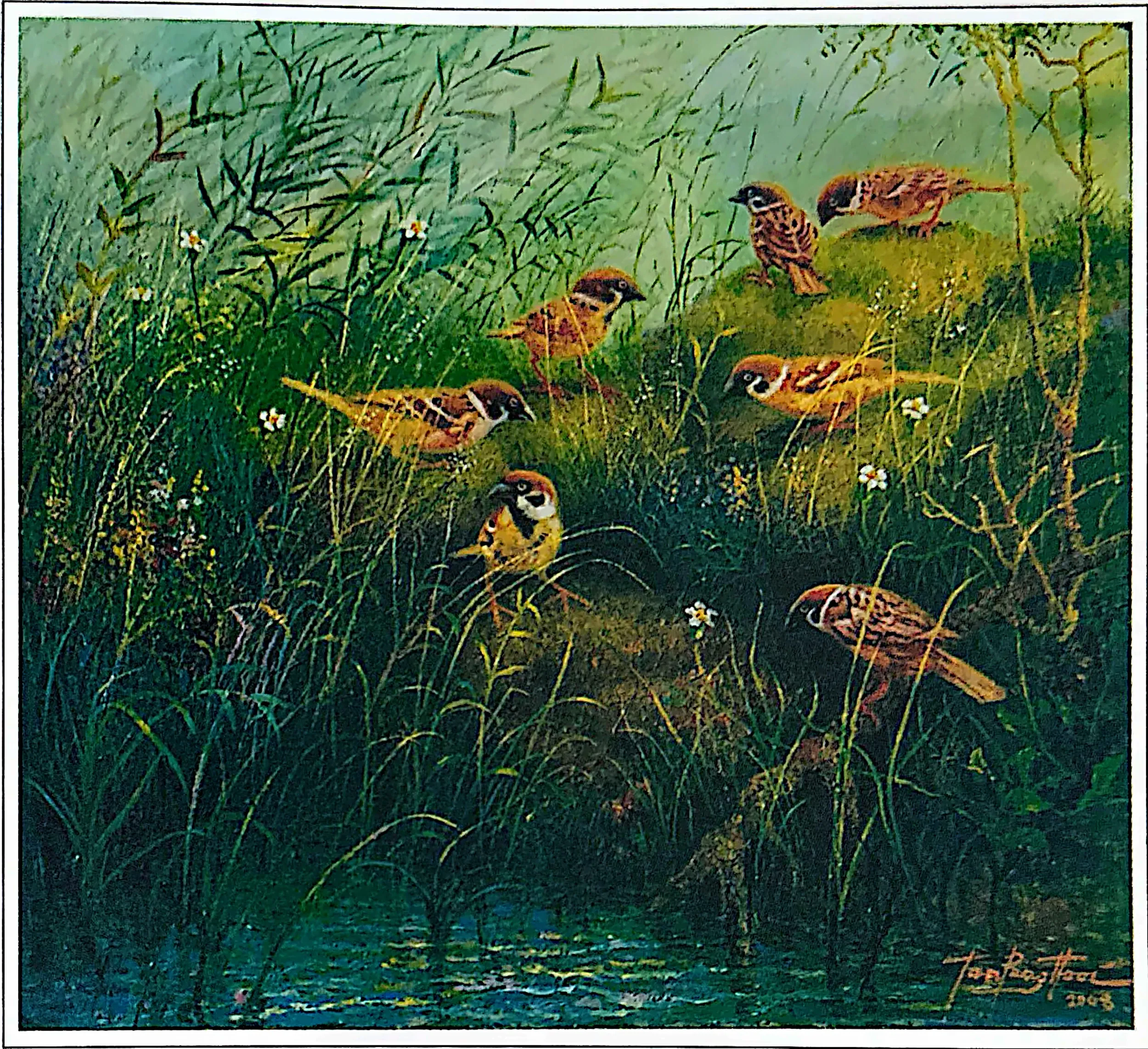 Oil painting titled Sparrows by Tan Peng Hooi, 2008.
